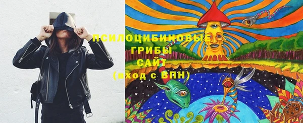 бошки Алексеевка